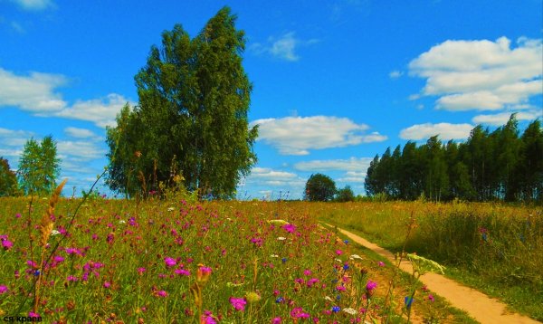 Лето фотопейзажи Сергея Краева