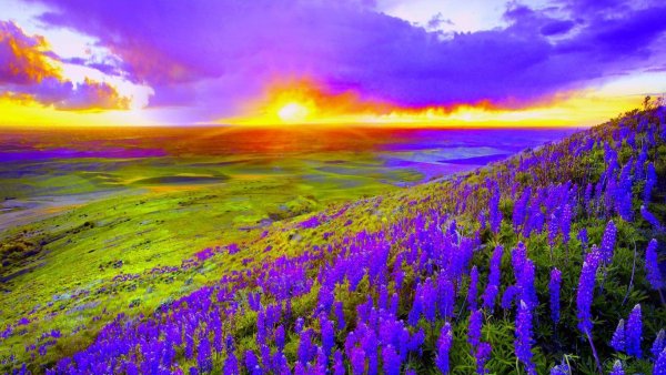 Красота природы