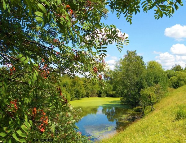 Лето фотопейзажи Сергея Краева