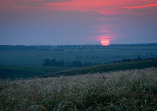 Описание пейзажа Бежин луг Тургенева