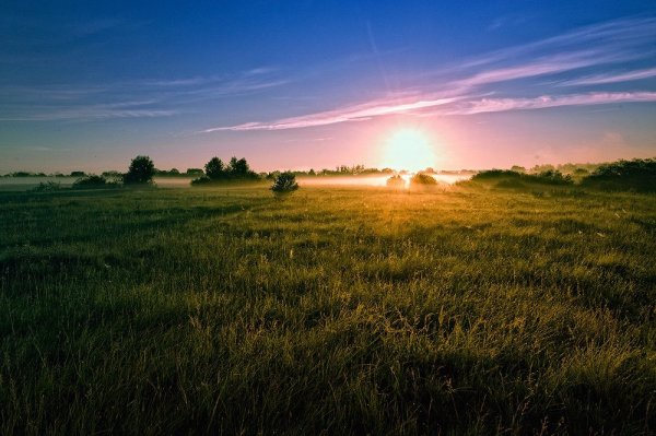 Бежин луг ночной луг