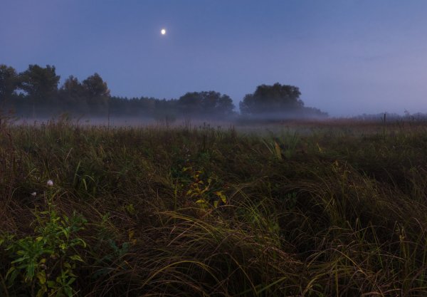 Роль пейзажа в рассказе