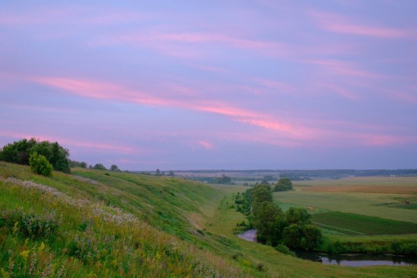 Маковский Бежин луг