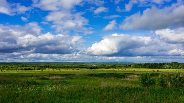 Картина Лебедева Бежин луг