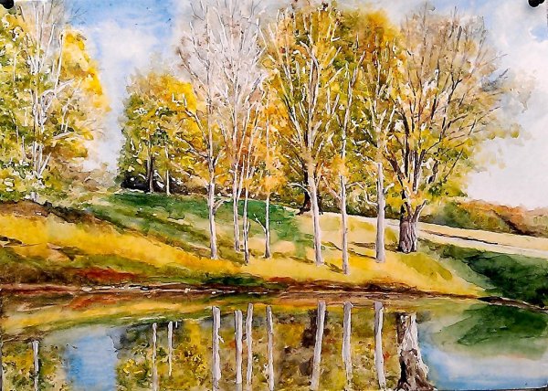 Художник Cathy Hillegas