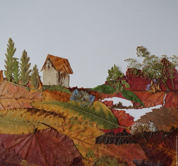 Ошибана Татьяна Бердник