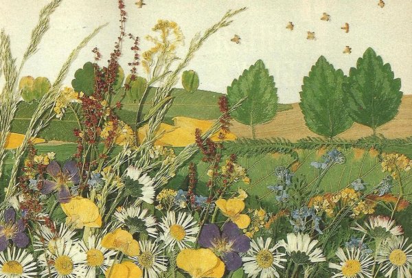 Пейзаж из природного материала