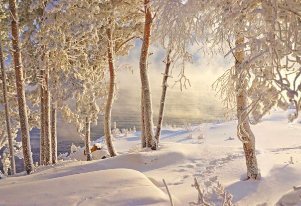 Зима в Сибири