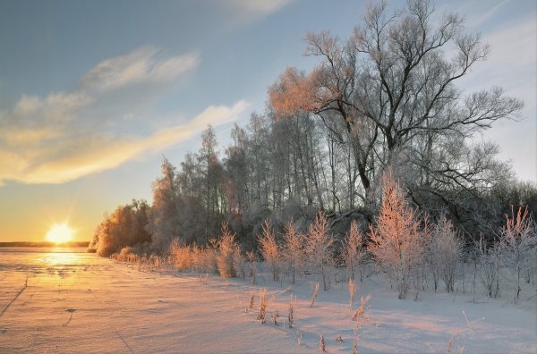 Морозный день