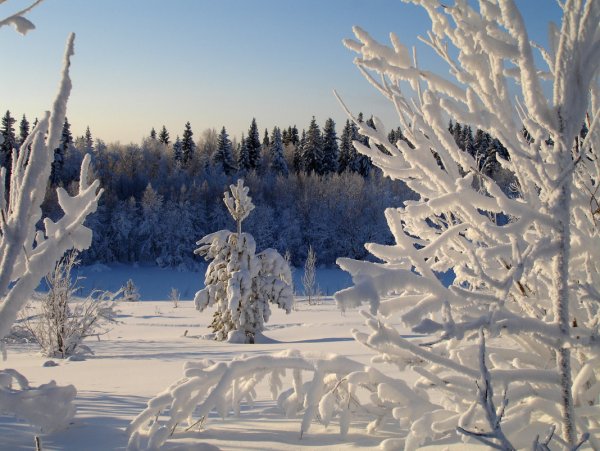 Зимние зарисовки