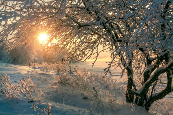 Зима Мороз и солнце