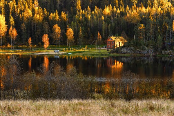 Карелия домик у озера