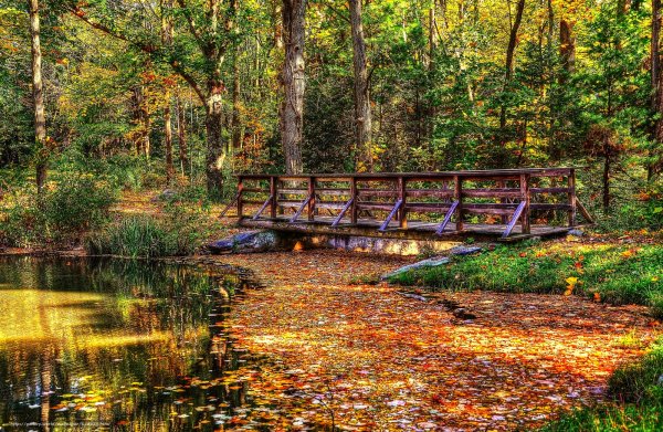 Хижина штата Мэн