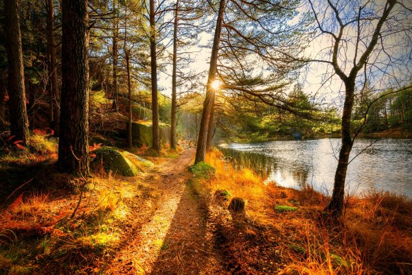 Домик в осеннем лесу