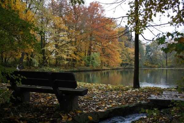 Осеннее озеро