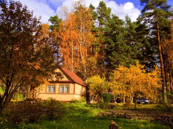 Река Нерская осенью Московская область