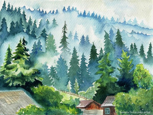 Еловый лес акварель