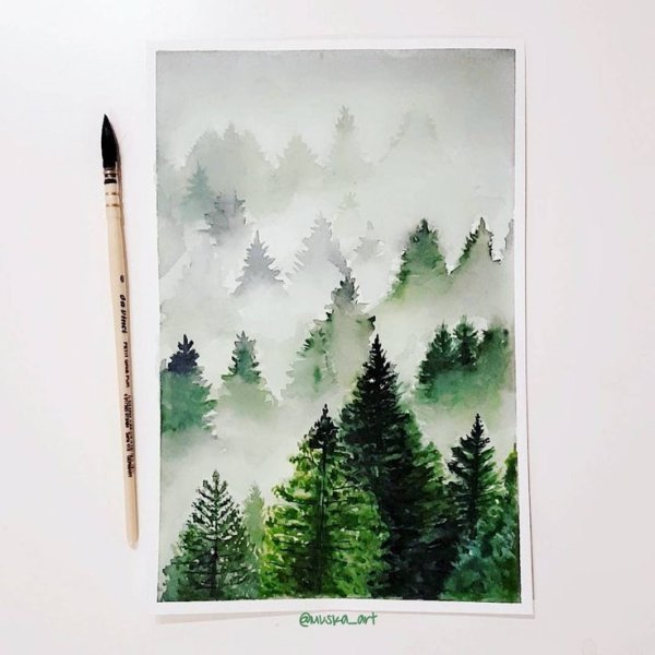 Акварельный лес с елками