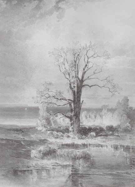 Алексей Кондратьевич Саврасов (1830–1897) проселок