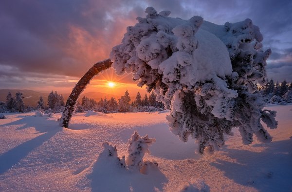 Природа зима