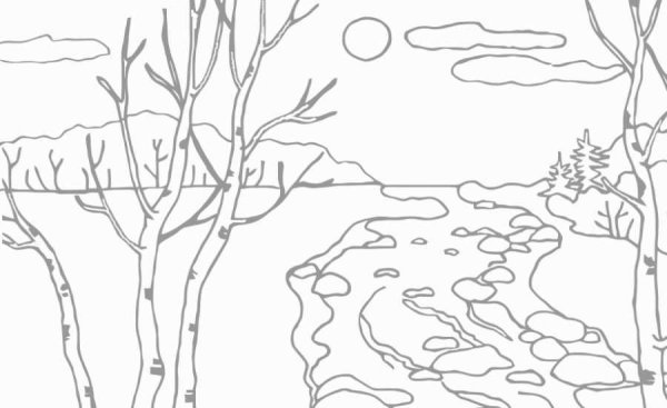 В лесу. Раскраска