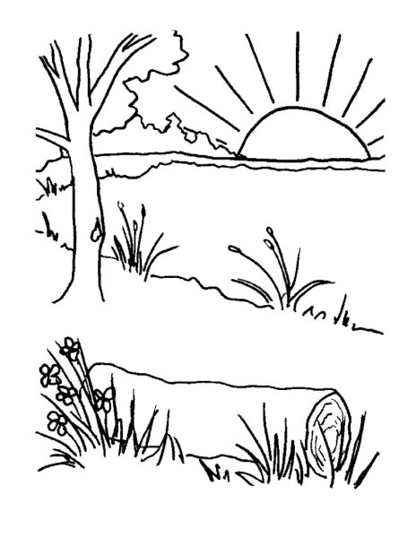 Весенний пейзаж раскраска