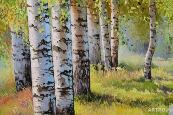 Анурисуй Катя Федорова пейзаж