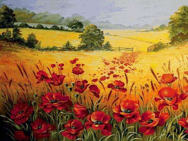 Ромашково Маковое поле картина