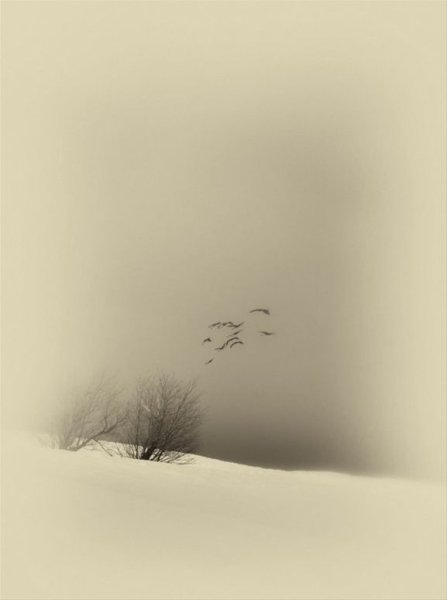 Акварель пейзаж Минимализм