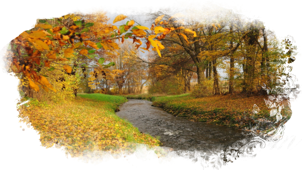 Пейзажи осени на прозрачном фоне