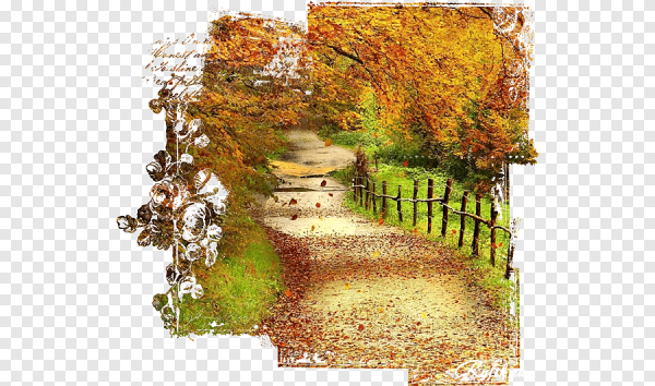 Осенний пейзаж прозрачный