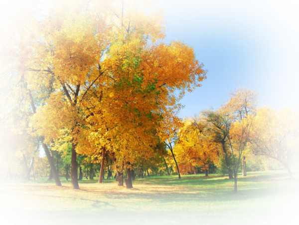 Осенний пейзаж на прозрачном фоне