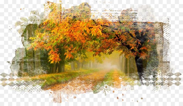 Пейзаж клипарт