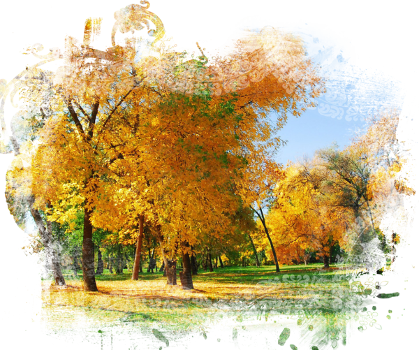 Осень на прозрачном фоне