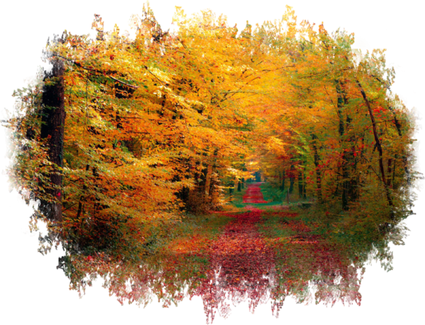 Осенняя природа на прозрачном фоне