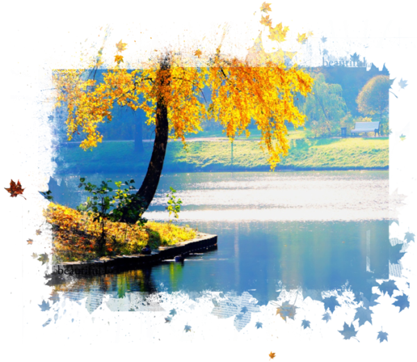 Пейзажи осени на прозрачном фоне