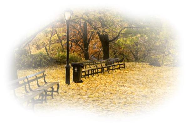 Осенняя природа на прозрачном фоне