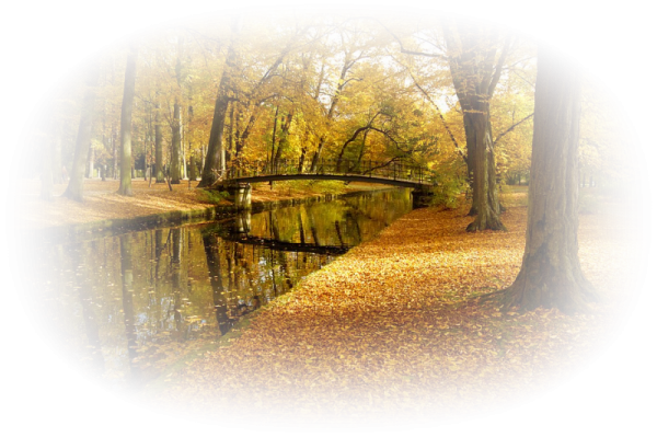 Осень на прозрачном фоне