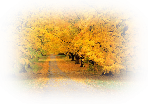 Осенний пейзаж векторный