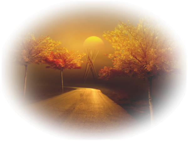 Береза осенью на прозрачном фоне