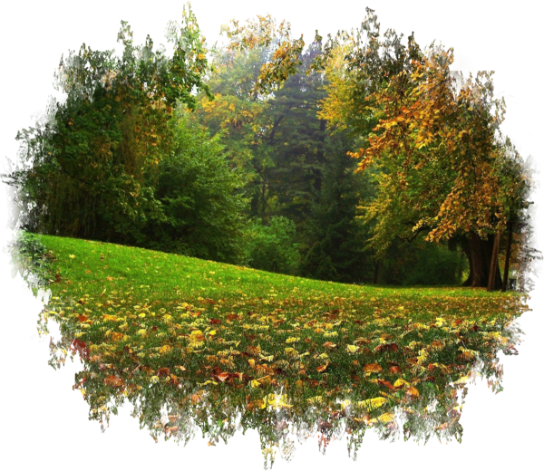 Осенний пейзаж акварелью