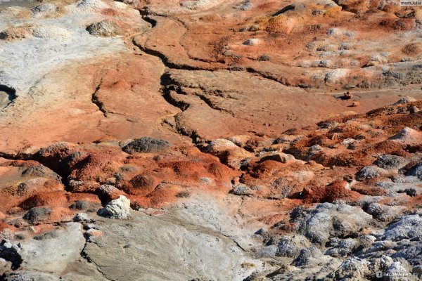 Марс Екатеринбург Богданович