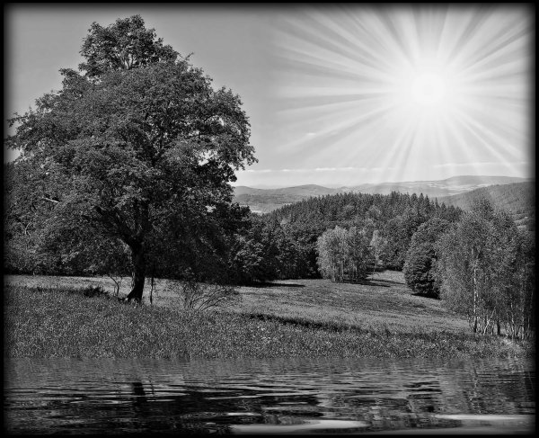 Пейзаж для гравировки