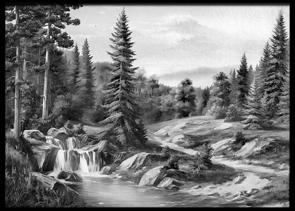 Гравировка на памятнике сзади лес