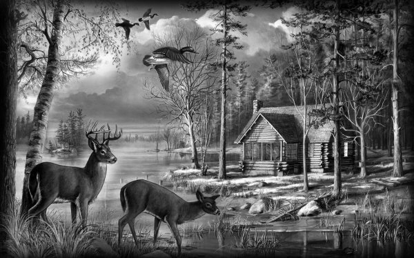 Природа для гравировки на памятниках