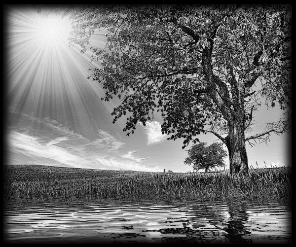 Природа для гравировки на памятниках