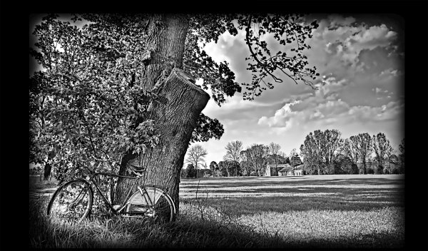 Пейзаж для гравировки на граните