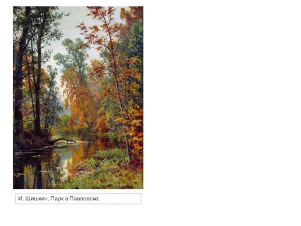 Картина шишки парк в павловлске
