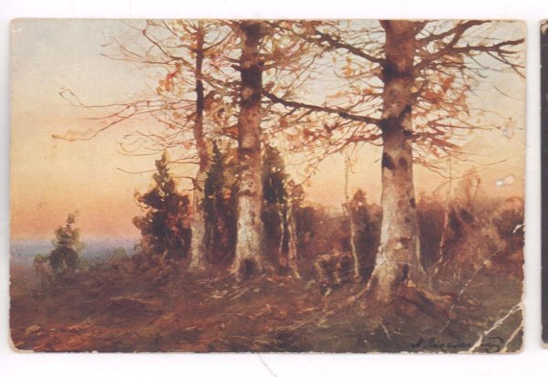 Писемский Алексей Александрович (1859 - 1913)