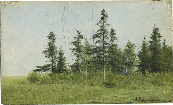 Писемский Алексей Александрович (1859 - 1913)